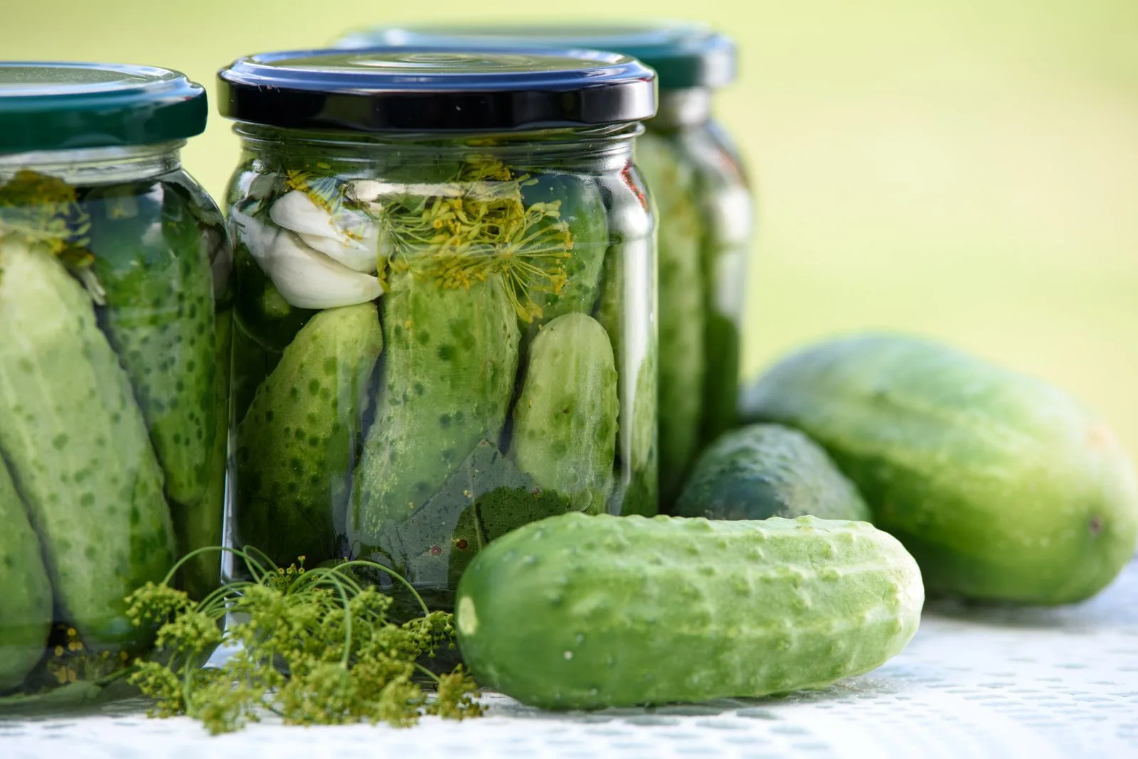 Cucumbers fermented the cold way keep in a flat — with no cellar and no pasteurisation. Illustrative photo: Wikimedia Commons