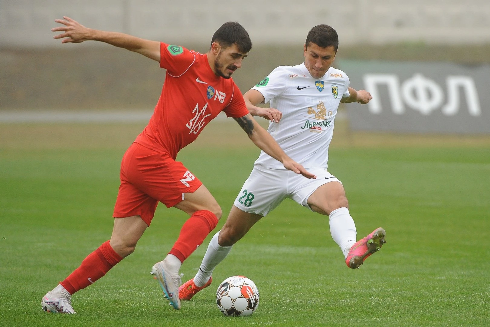 Nyva v Karpaty at Yuvileinyi