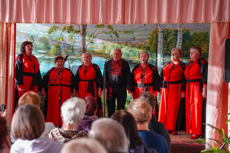 The Zdvyzhanochka ensemble performing