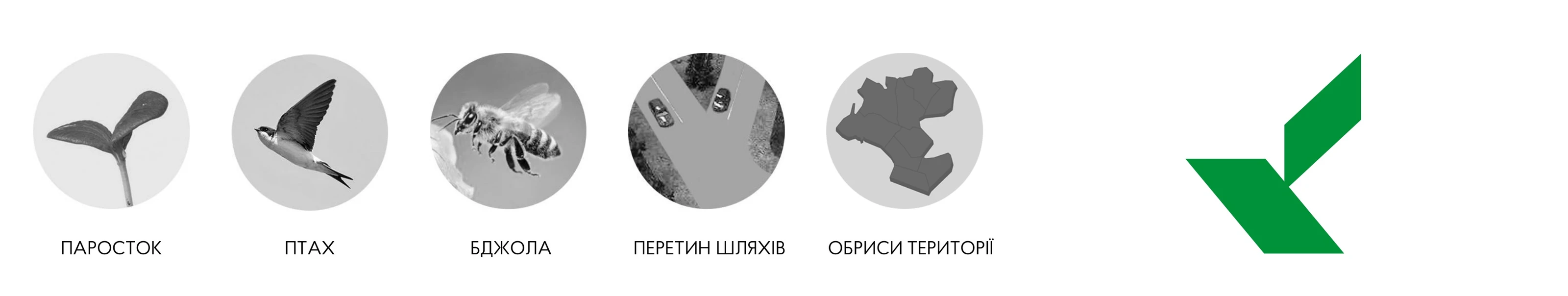 Із чого склався знак Бучанської громади: паросток, птах, бджола, перетин шляхів і обриси території