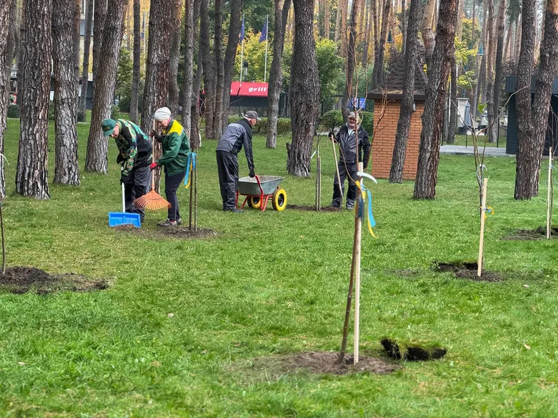 Комунальники висаджують саджанці