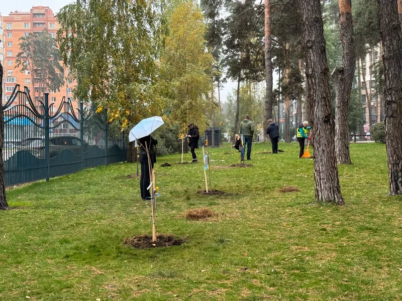 Нові дерева памʼяті в Ірпені